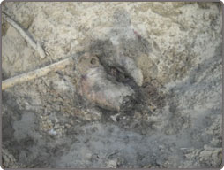 villagemeet_sbconsultancy